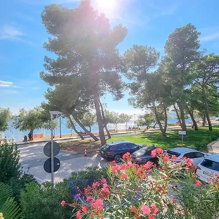 Fiore One * Novigrad Istria